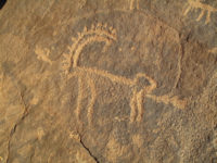 Ibex on Chariot Rock, Jubbah