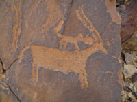 Gazelle – Jubbah