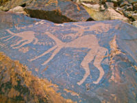 Petroglyph Bonanza Camel