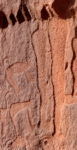 Shuwaymis West Petroglyph C