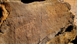 Cattle Petroglyph